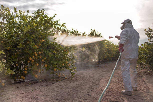 Best Termite Control Services  in Bradford, OH